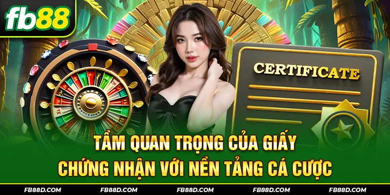 Tầm quan trọng của giấy chứng nhận với nền tảng cá cược